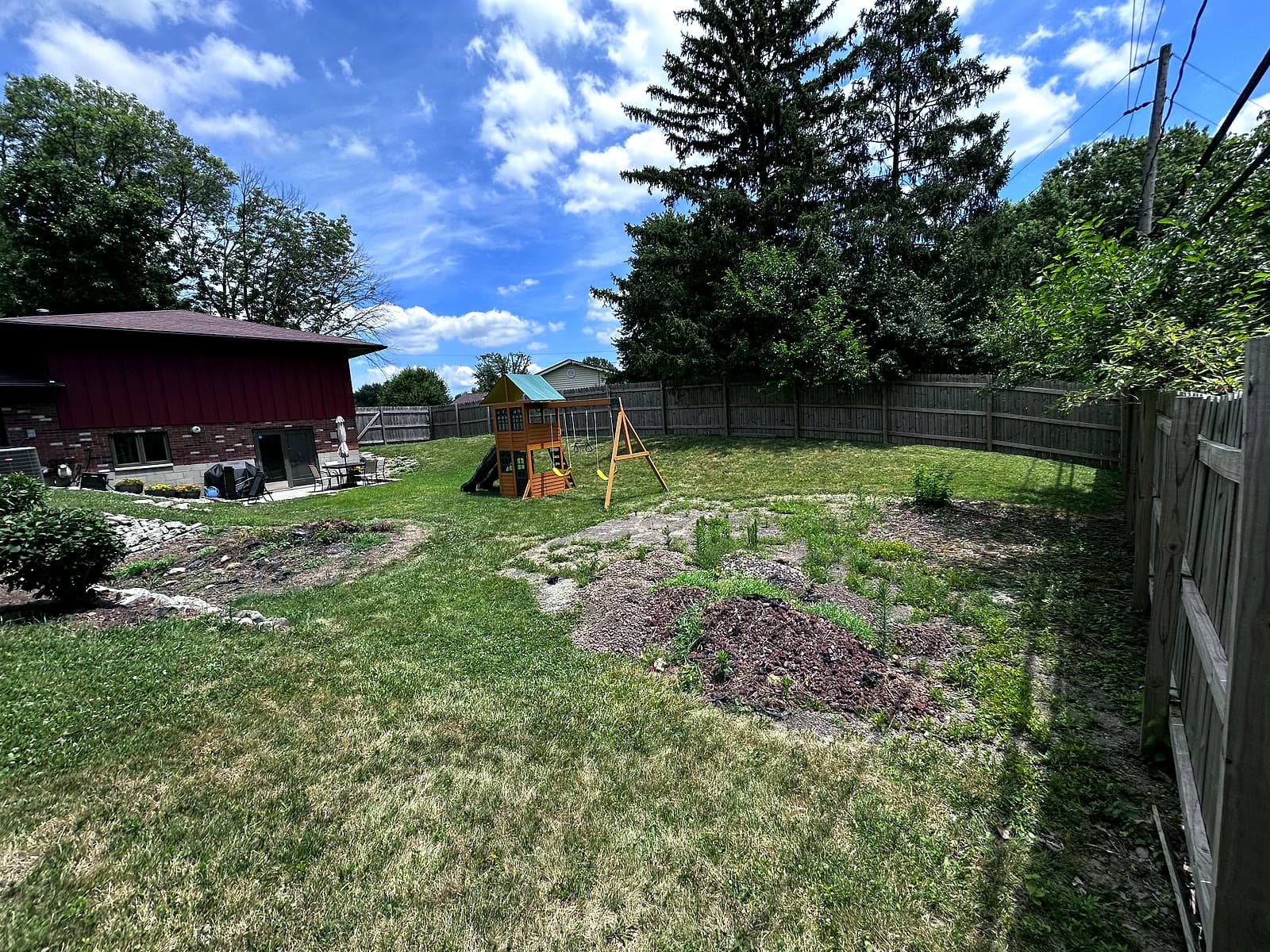Overgrown backyard cleared & graded — before