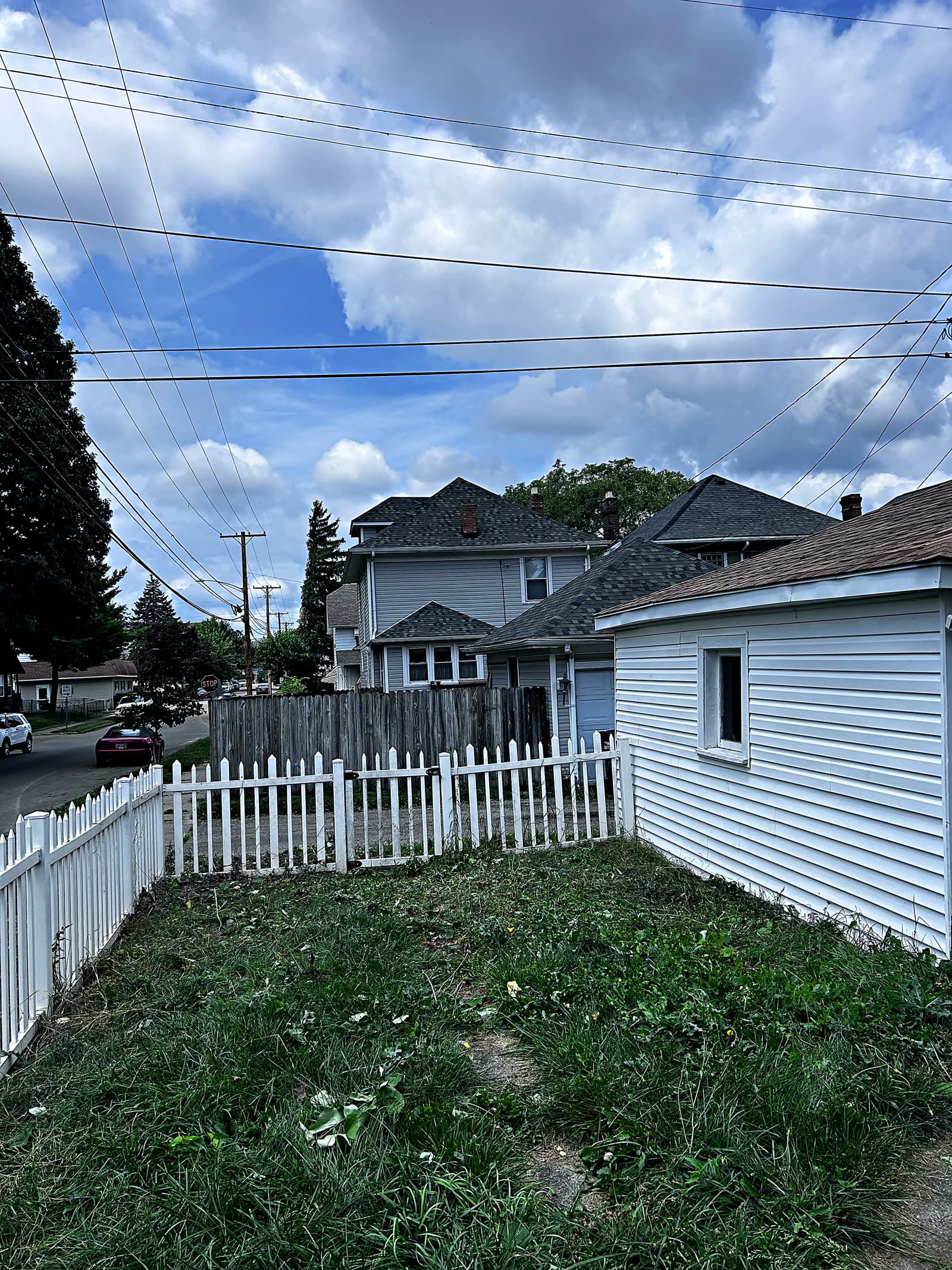 Overgrown side yard reclaimed — after